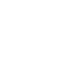 Icone do CSS